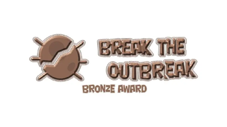 Bronze service award
